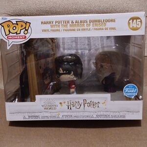 Large Funko Harry Potter and Dumbledore Scene